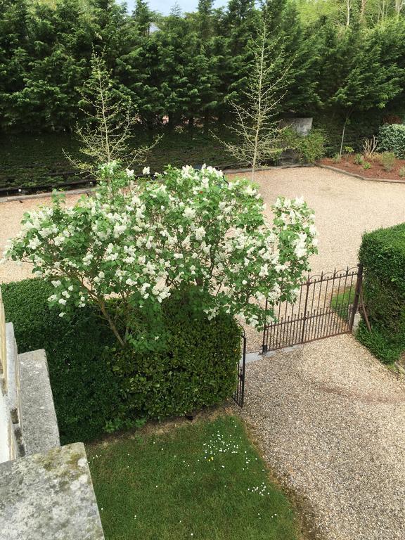 Manoir Le Mesnil Bed & Breakfast Saint-Martin-aux-Chartrains Exterior photo