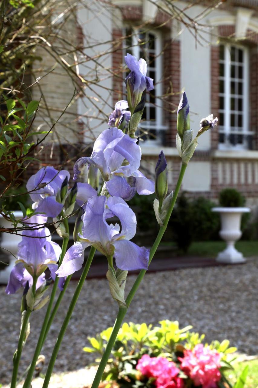 Manoir Le Mesnil Bed & Breakfast Saint-Martin-aux-Chartrains Exterior photo